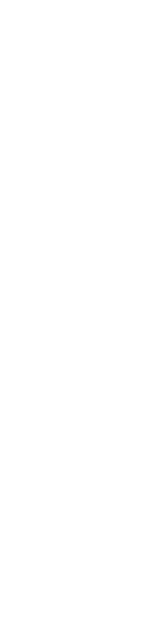 沖縄のこのまちと共に進化し続ける。